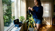 Woman hanging crystal by sunny window with rainbows